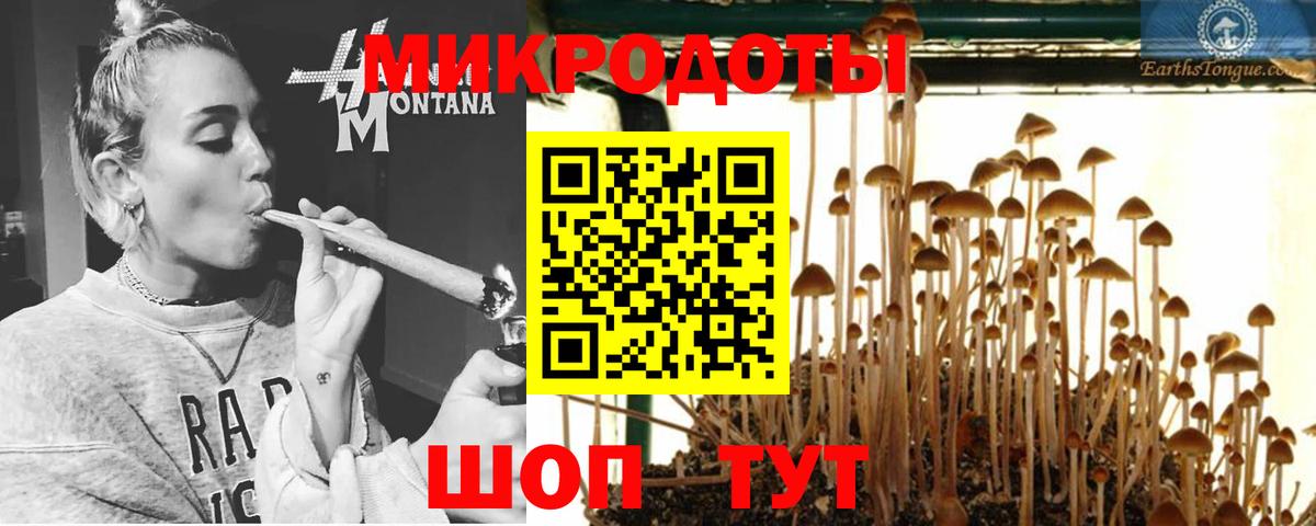 Семилуки  Галлюциногенные грибы мицелий  Вход с VPN 